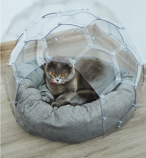 Kedi Evi Kedi Evi