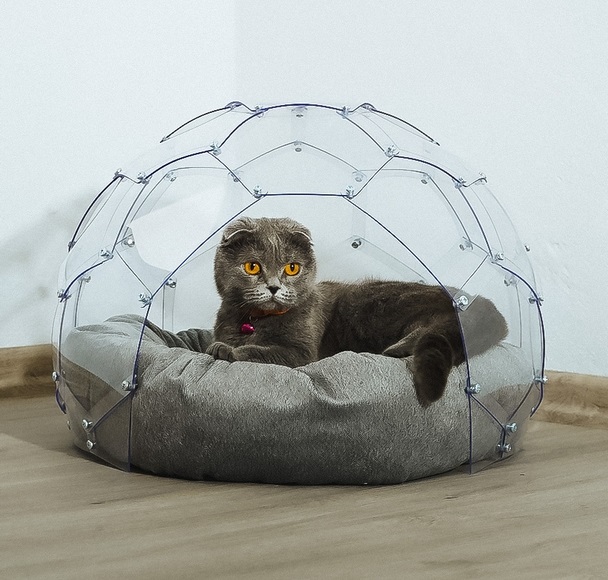 Kedi Evi Kedi Evi